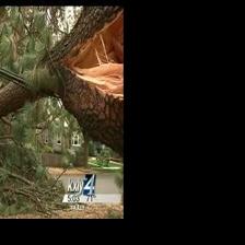 Strong winds down trees and powerlines | Local News | kxly.com