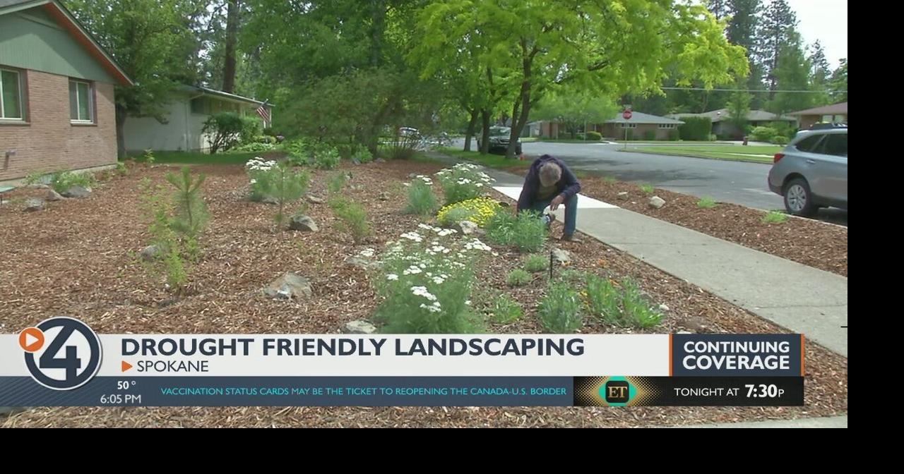 How to save water and money on your front lawn during the drought ...