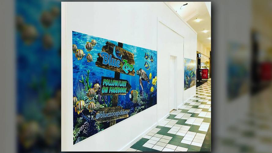 “Blue Zoo” interactive aquarium coming to Spokane Education