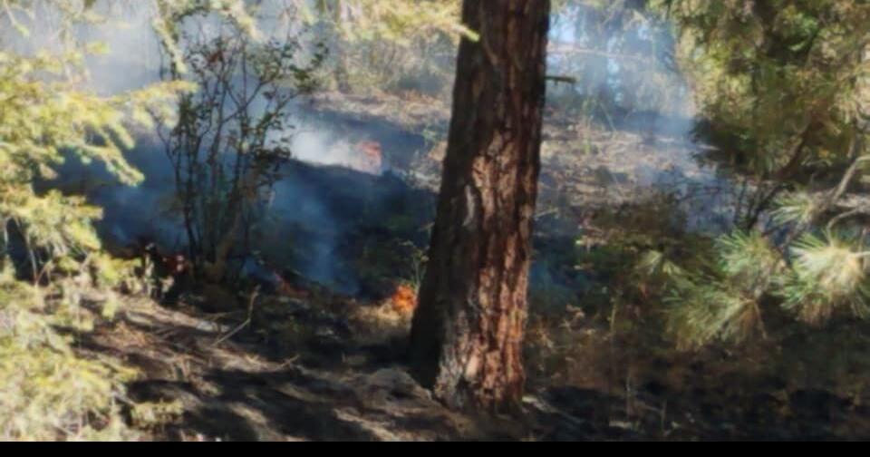 Whitetail Loop Fire ignited when a bird flew into a power line ...