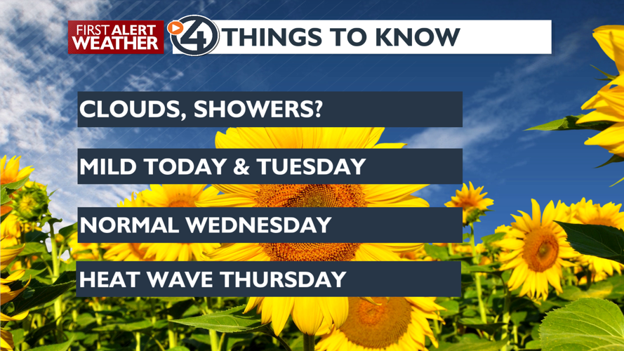 Clouds and Isolated afternoon showers to another heat wave by August 1 ...