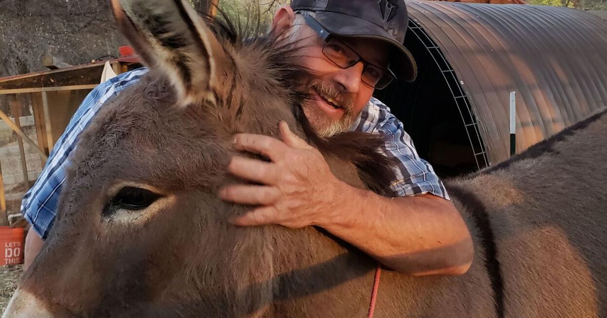 A pet donkey disappeared in California five years ago. He's been spotted living with a herd of wild elk | | kxly.com