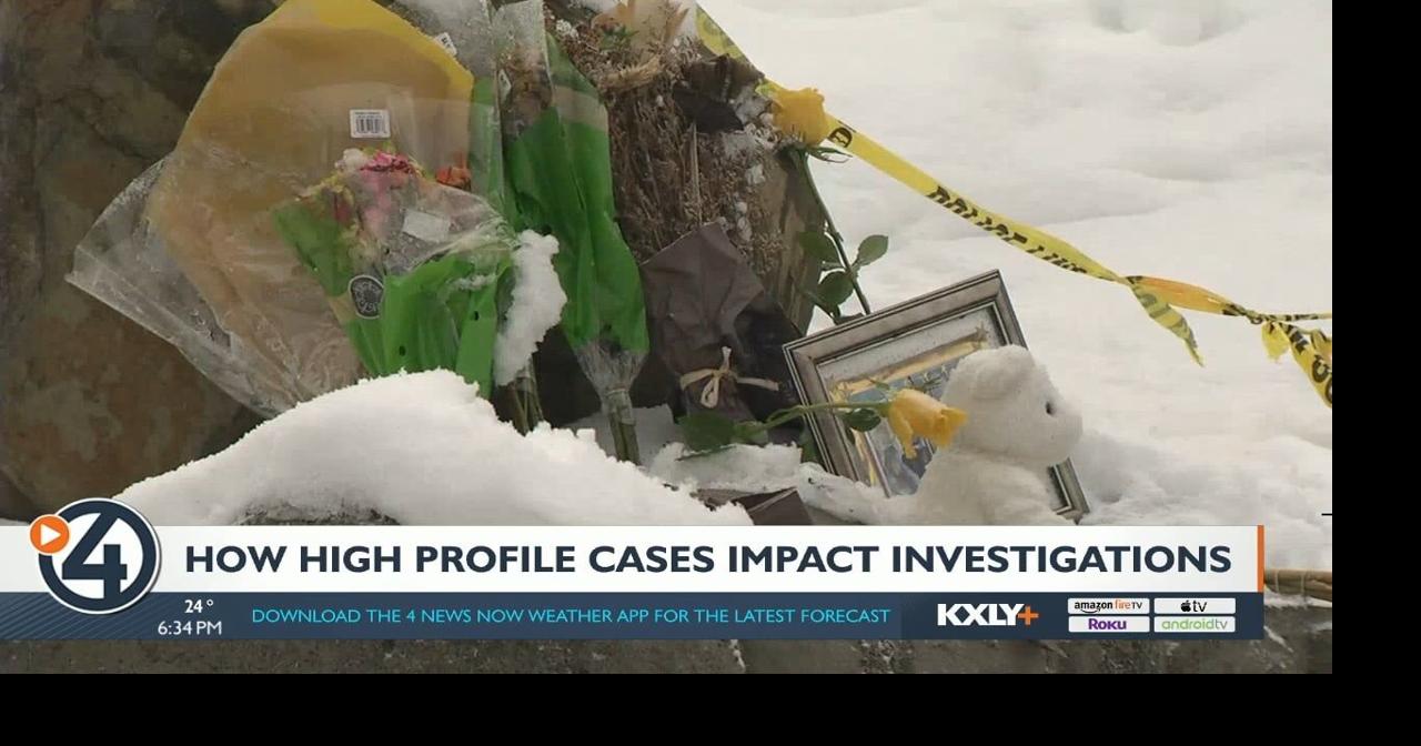 ‘Everyone has an opinion’ Legal experts weigh in as U of I murder