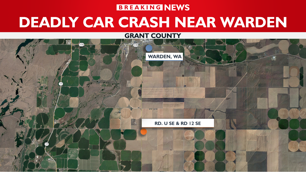 9yearold killed in crash near Warden News