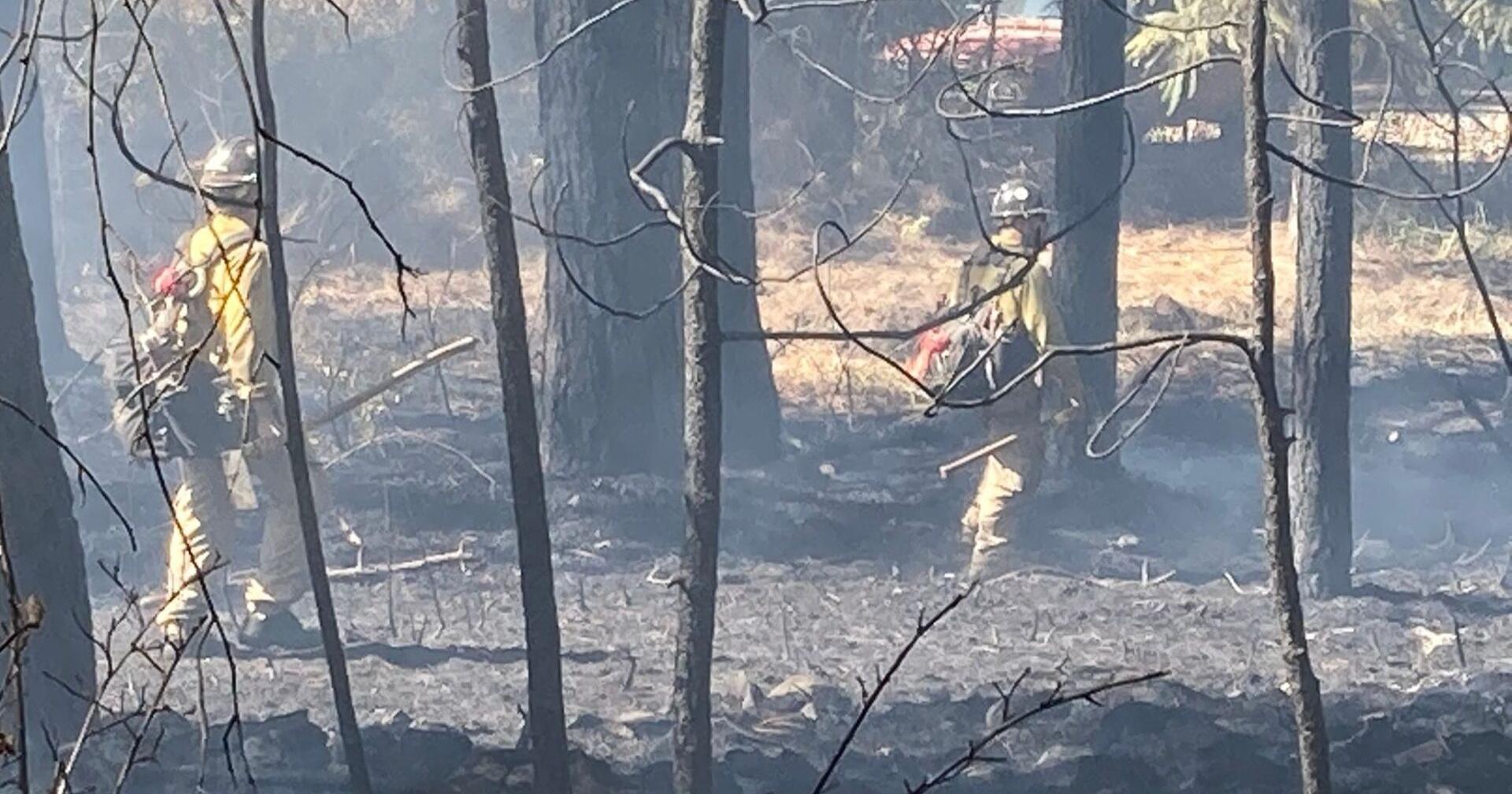Investigators: West Spokane arson suspect told police she set Dishman Hills fires, too - Vimarsana News