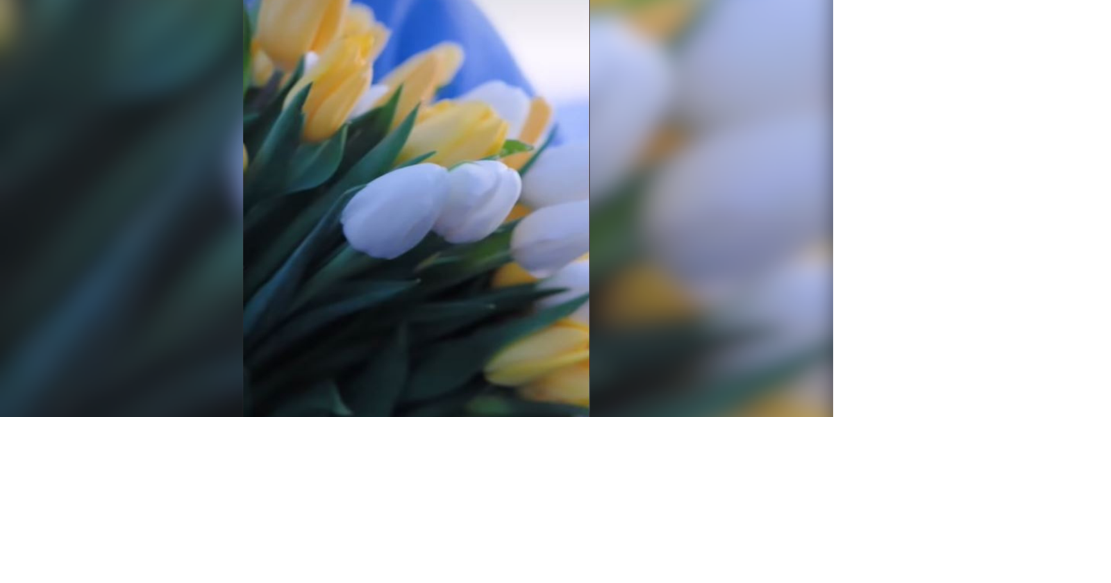 'Ethan's Smile' Family of Ethan Chapin partners with Tulip Valley