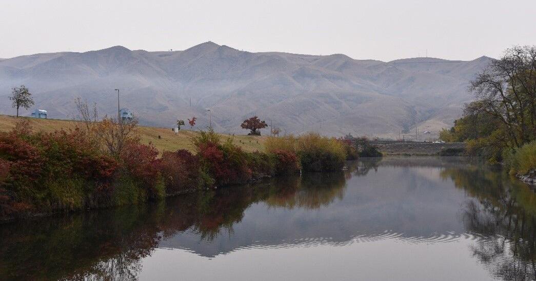 Idaho Fish and Game investigating fish die off in Lewiston's Kiwanis Park Pond