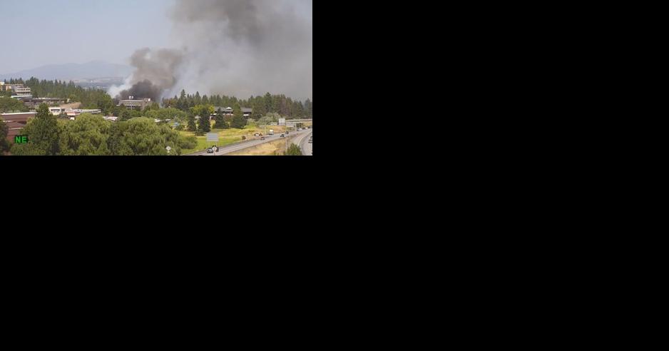 Police arrest woman accused of setting multiple fires in West Hills neighborhood - Vimarsana News