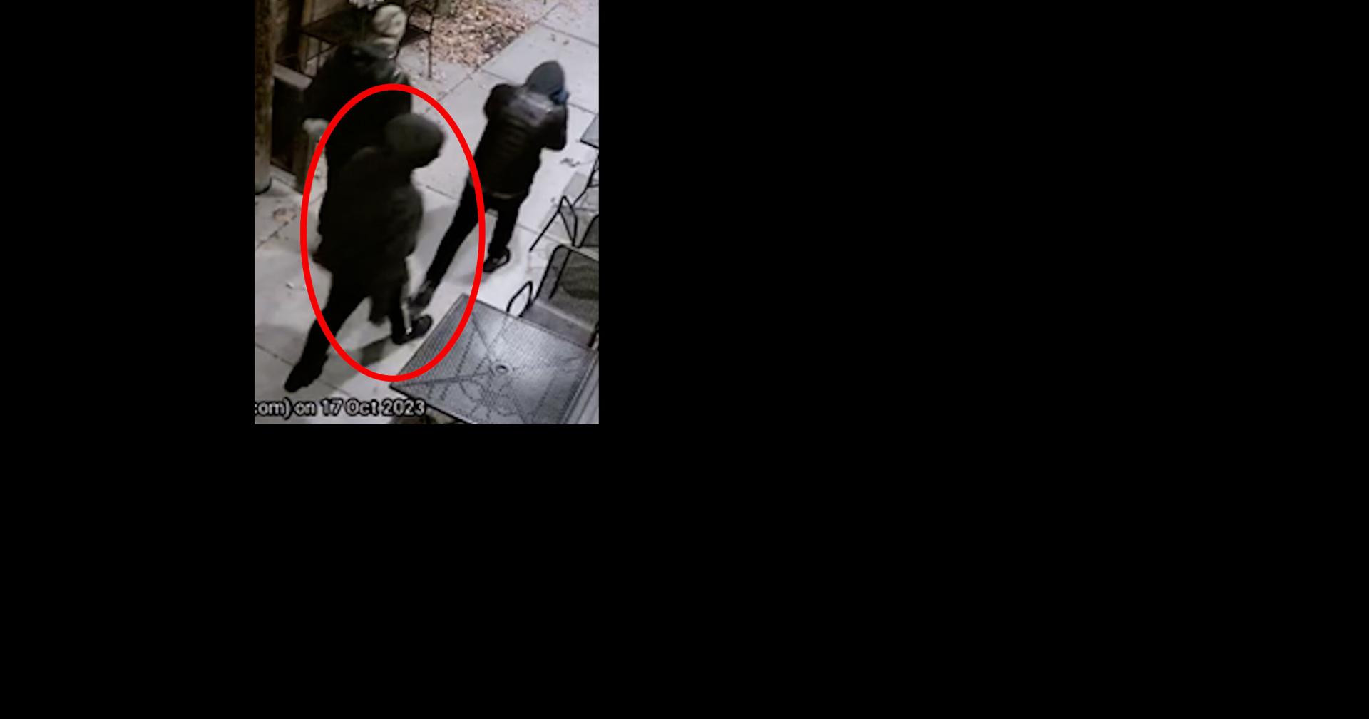 Spokane Police asking for public's help to identify vandals | News ...