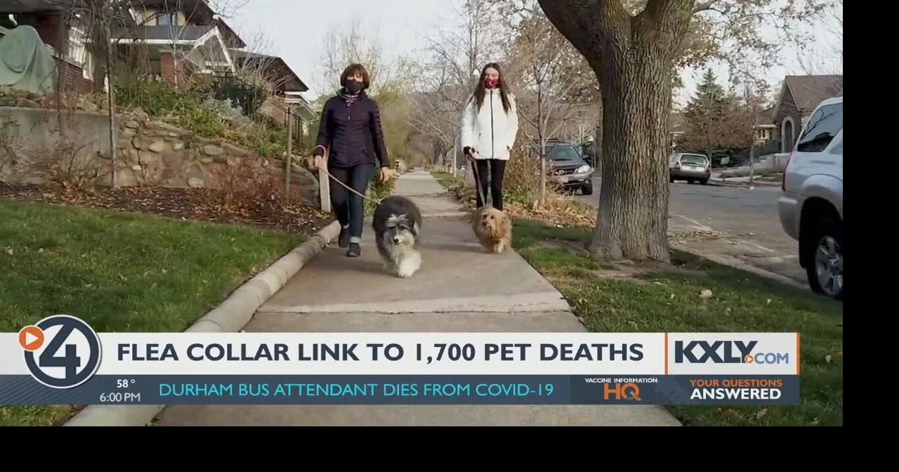 EPA data shows possible link between popular flea collar and pet deaths Health