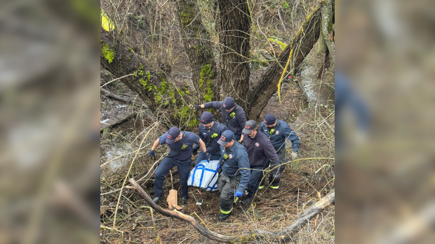 Firefighters rescue 200-pound dog stuck in the mud | News | kxly.com