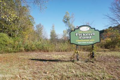Pickerel Pond parking