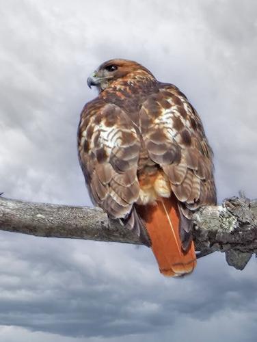 Reader Pics: March 6