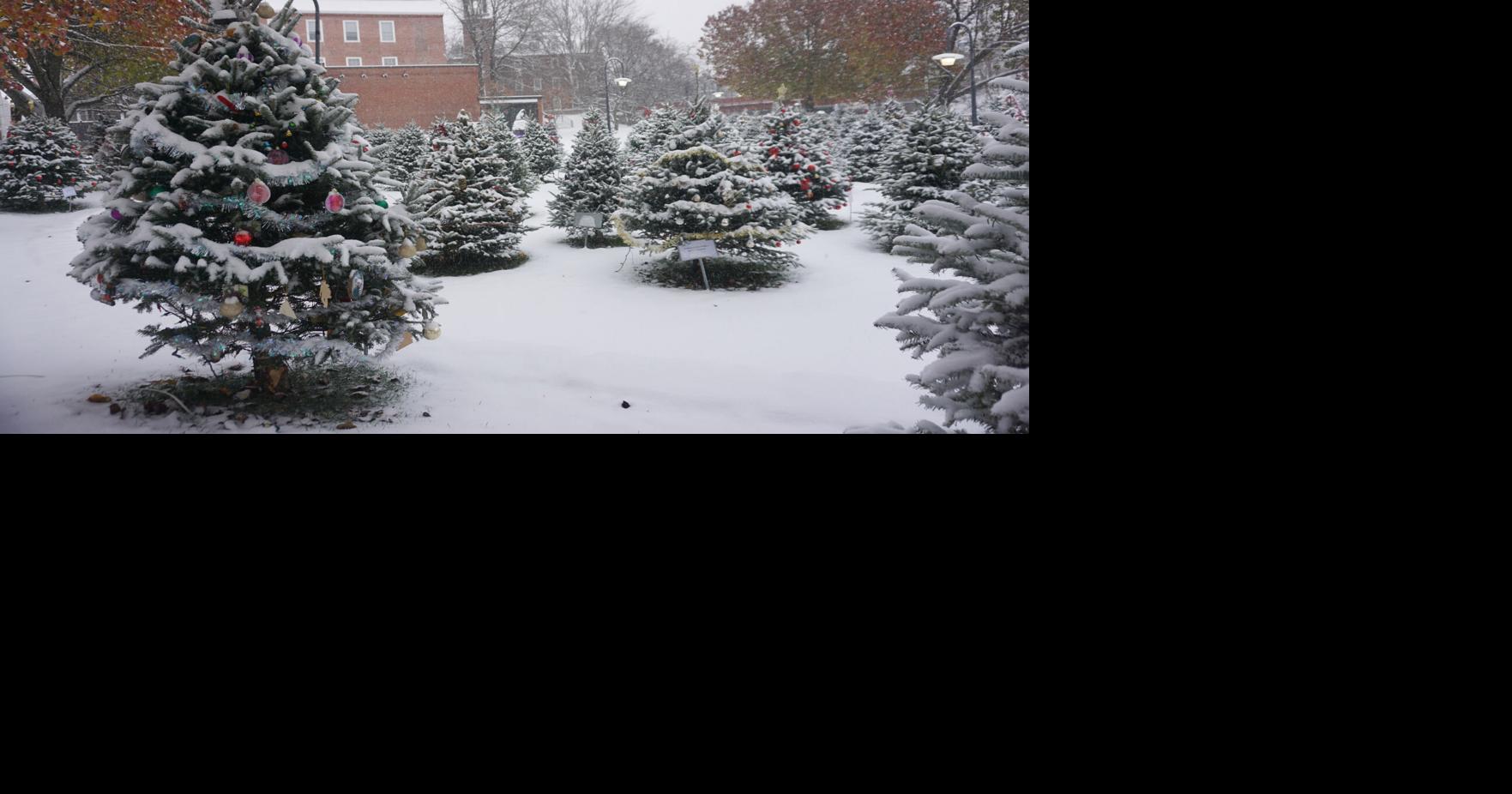 Nor’easter dumps snow over the Lakes Region Tuesday morning, more weather expected