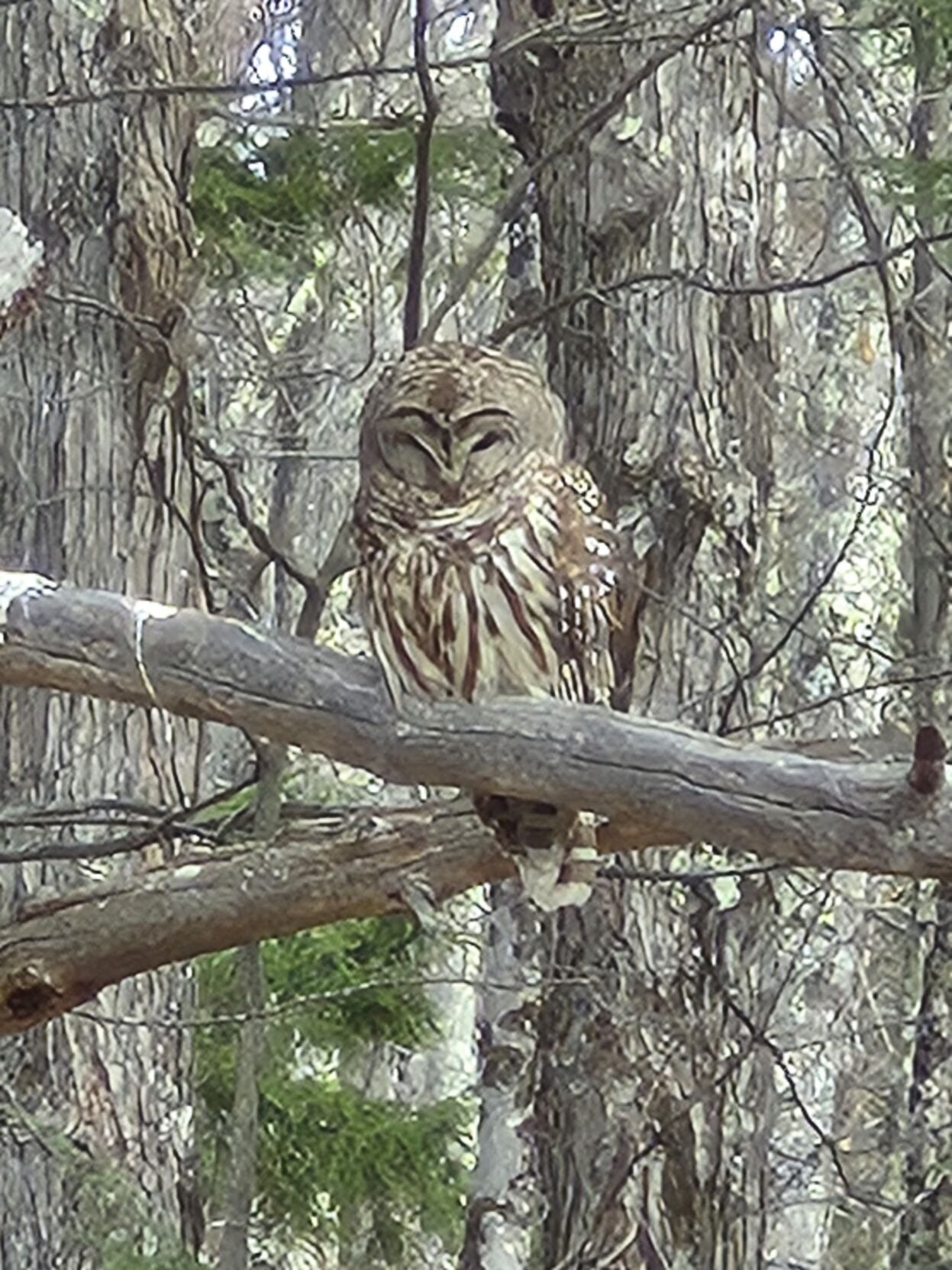 Reader Pics: March 28