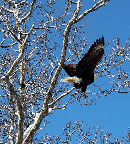 Reader Pics: April 13