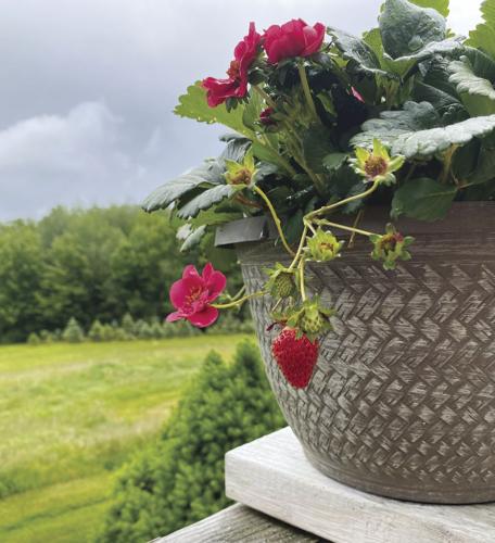 Reader Pics: June 22