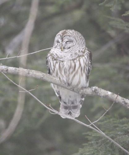 Reader Pics: March 21