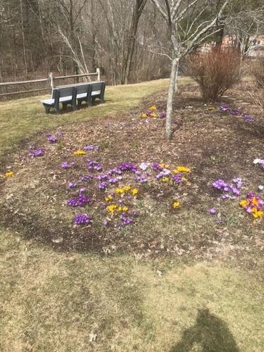 Reader Pics: April 9