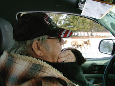 Elk and bagels - Belmont farmer, 84, says he enjoys raising elk as a hobby