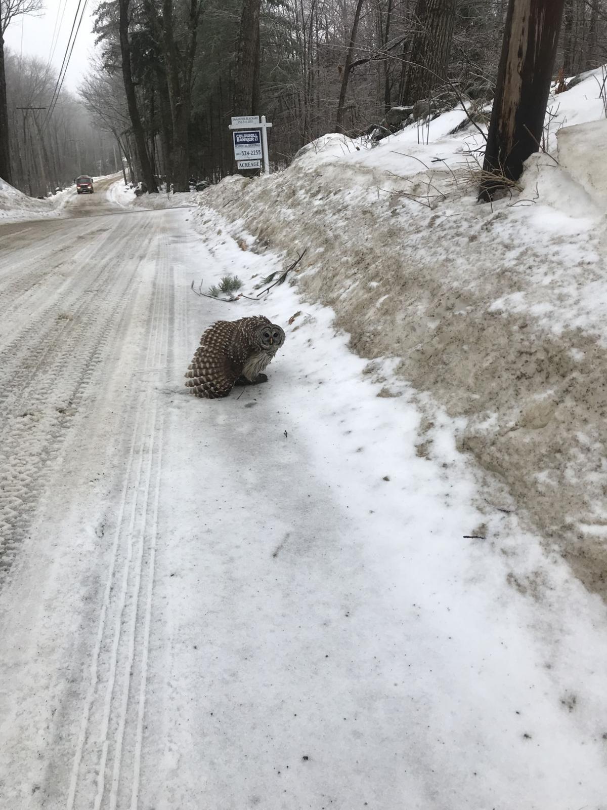 Reader Pics: Feb. 10