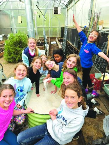 InterLakes students beautify school
