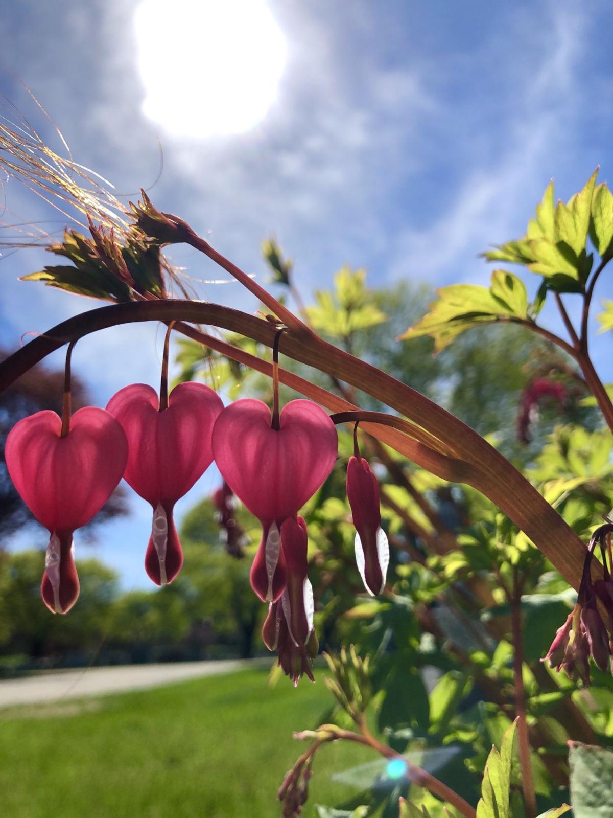 Reader Pics: May 21