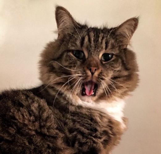 Reader Pics: March 7