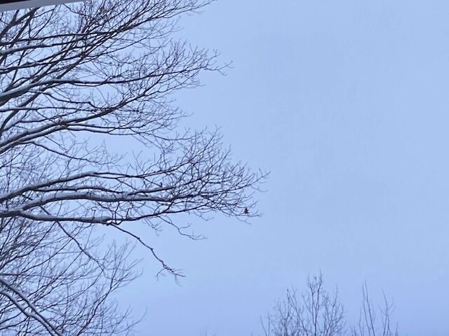 Reader Pics: March 15