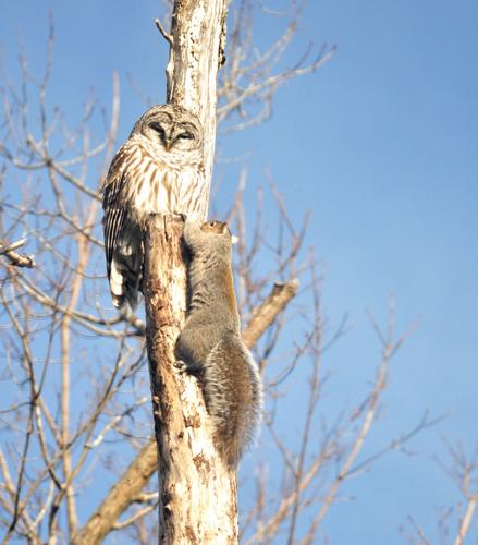 Reader Pics: Feb. 24