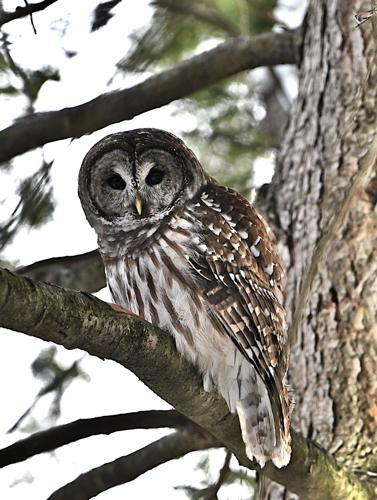 Reader Pics: Jan. 11