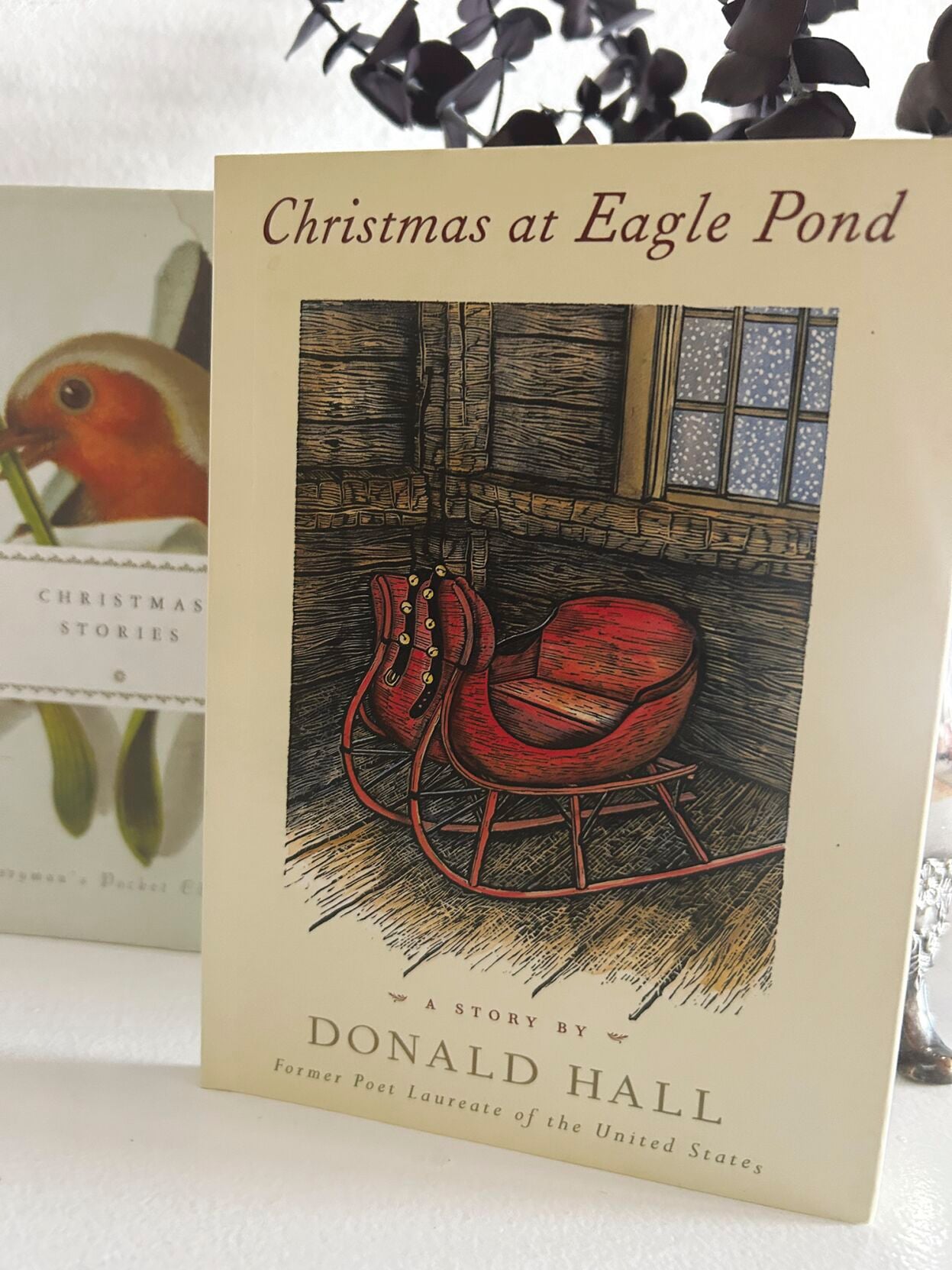 'Christmas at Eagle Pond'
