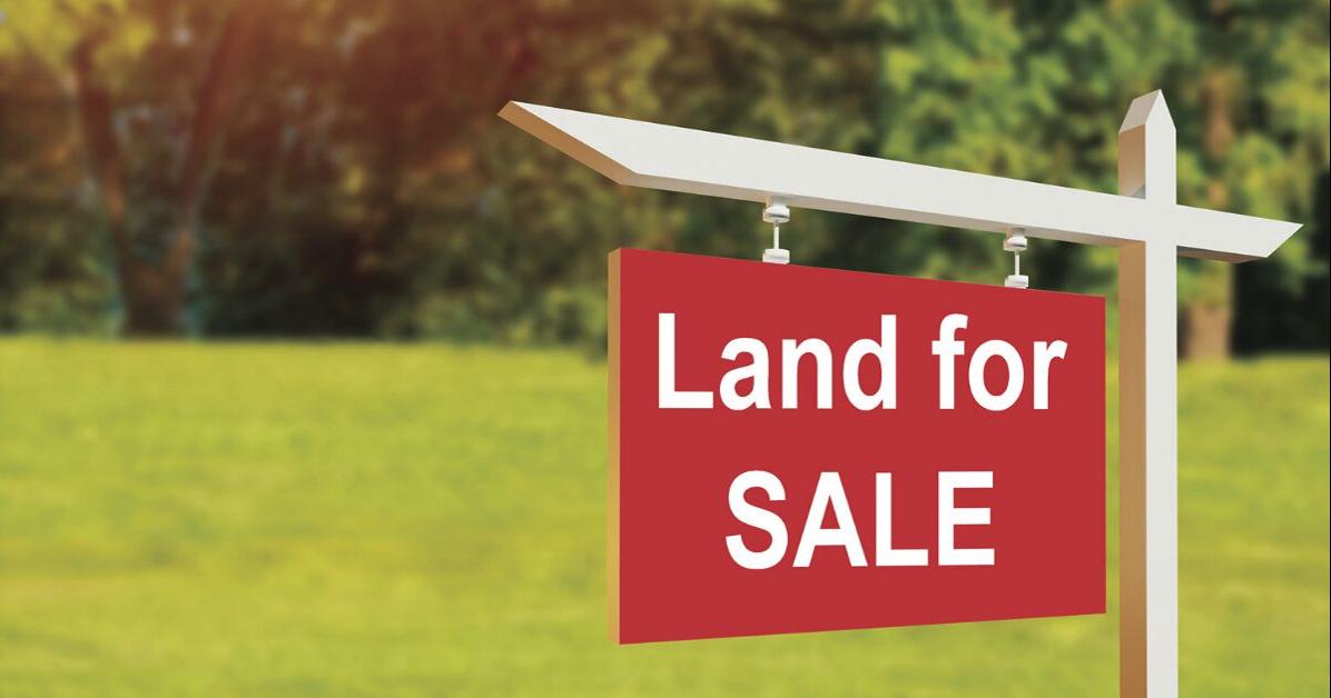 A comprehensive guide to buying land in New Hampshire Columns