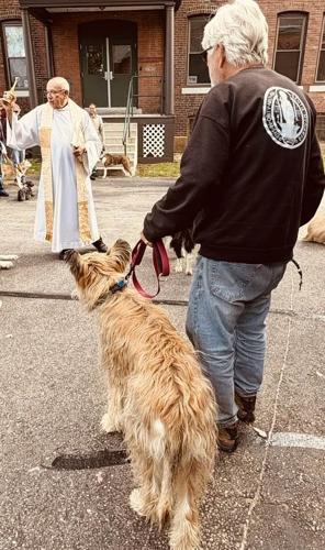 Reader Pics: Oct. 7