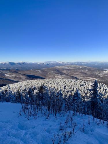 Reader Pics: Jan. 14