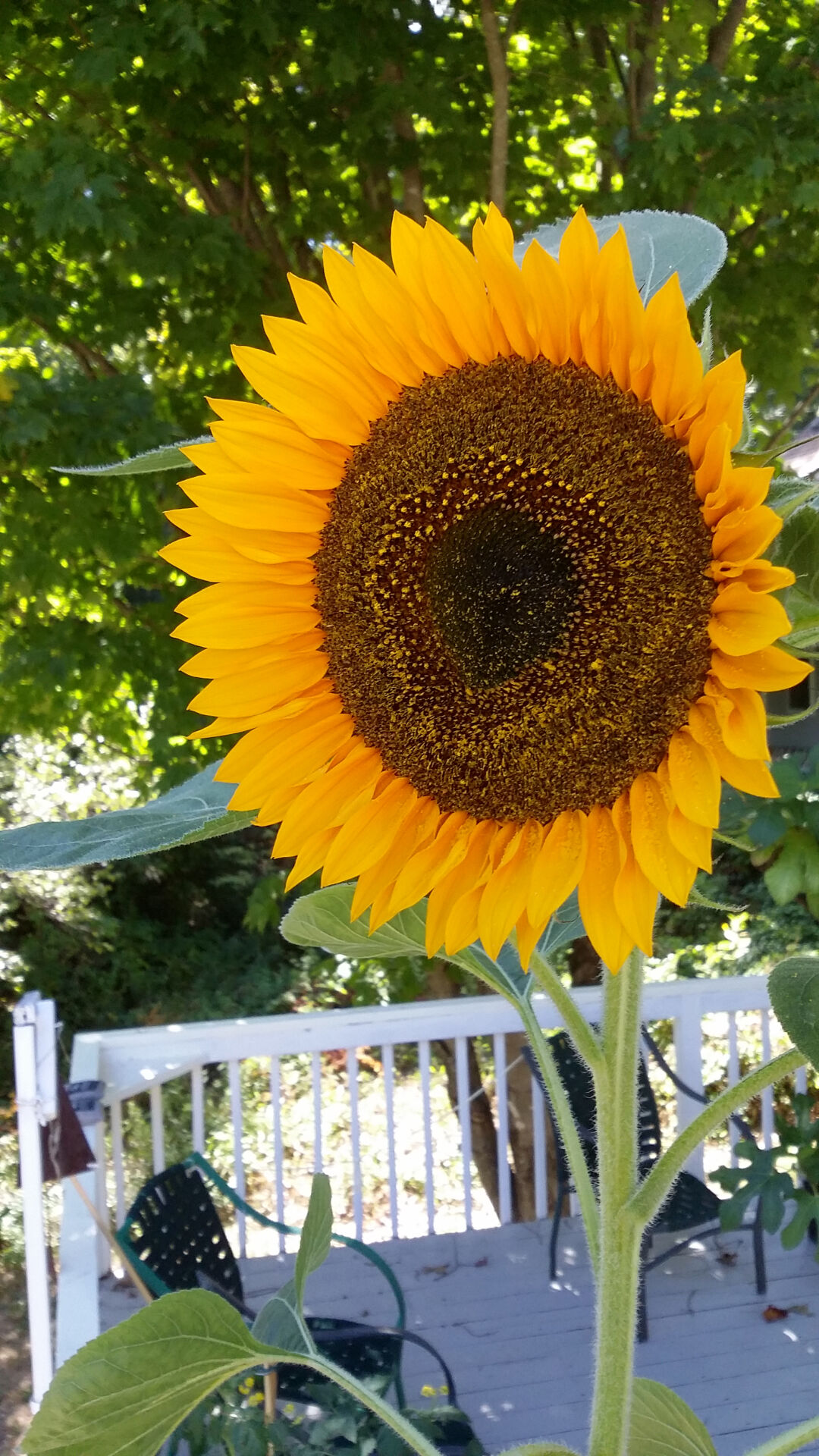 Reader Pics: Sept. 16