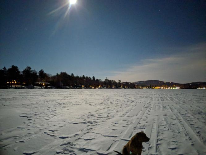 Reader Pics: Feb. 21