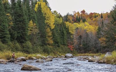 Ammonoosuc River Project