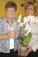 Opechee Garden Club honors Judy Robertson