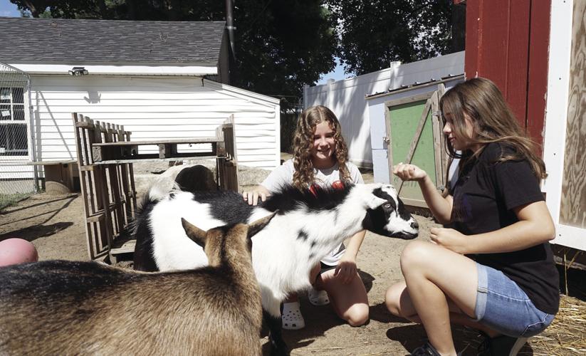 London Gleason and her goats