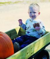 Stone Mountain Farm welcomes fall