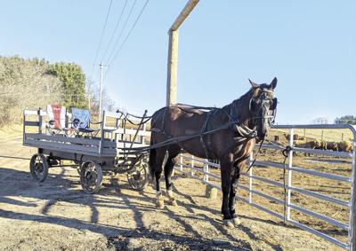 Amish farm in Ohio