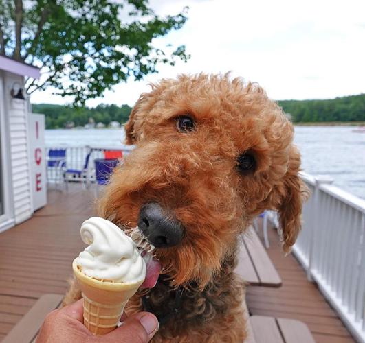 Reader Pics: Aug. 14