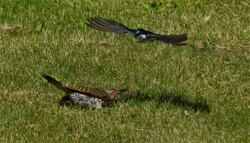 Reader Pics: June 13