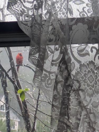 Reader Pics: May 15