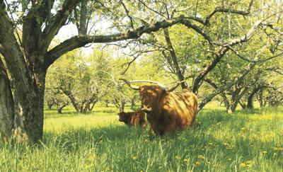 06-26 OUTDOORS P5241521_InPixioLG.jpg