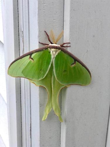 Reader Pics: June 28