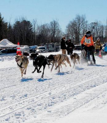 Girard takes first-day lead in sled dog derby