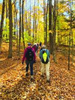 Registration now open for the Forest Society’s 2026 Five Hikes Challenge