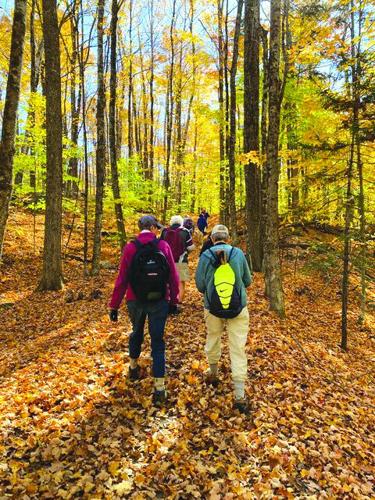 five hikes